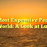 The Most Expensive Pearls in the World: A Look at Luxury